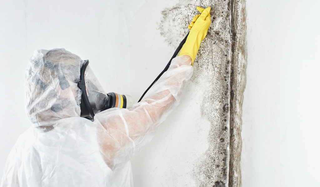 Process of mold removal in a South Florida residence